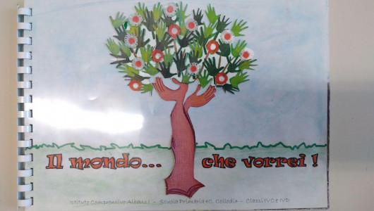 Scuola Primaria Carlo Collodi - Albano Laziale - RM - Multiclasse