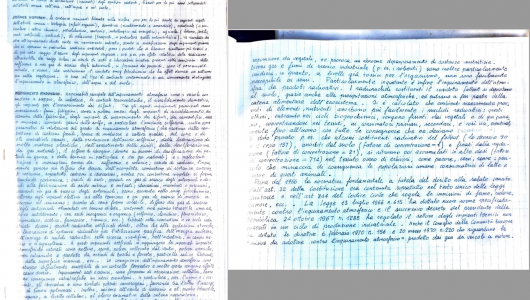 Scuola Secondaria Di I Grado Garelli - Rivalta di Torino - TO - Classe 1°C